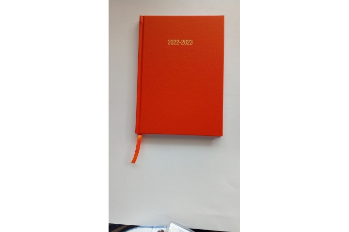 Academic Diary A4 Day/Page Orange 12 Months 2023-2024